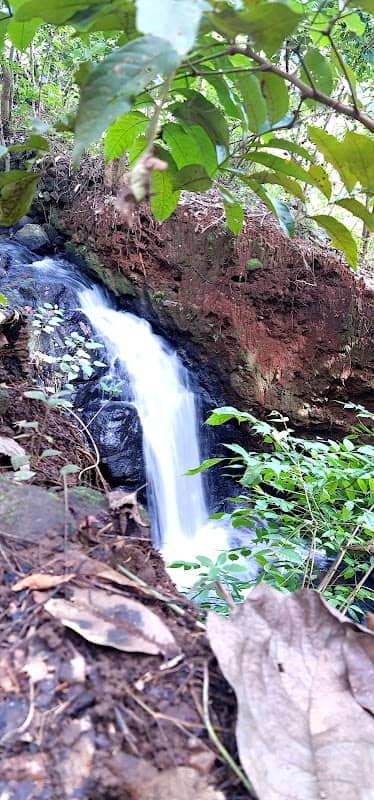 Choriyankunnu waterfalls - Image 1