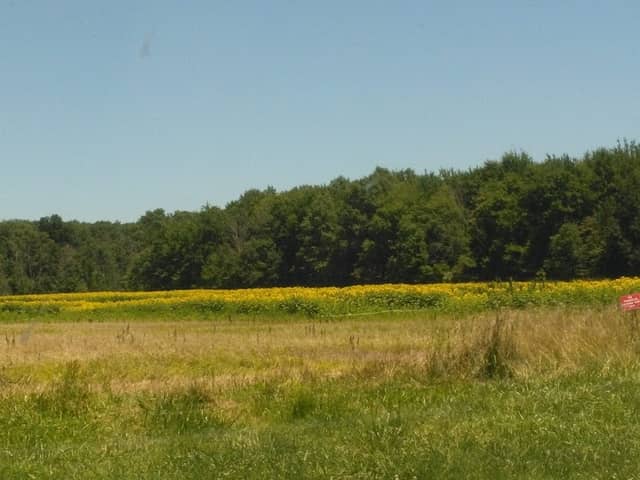 Della Gates and Edward Charles Bott Wildlife Area - Image 2