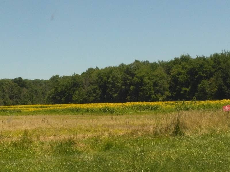 Della Gates and Edward Charles Bott Wildlife Area - Image 2