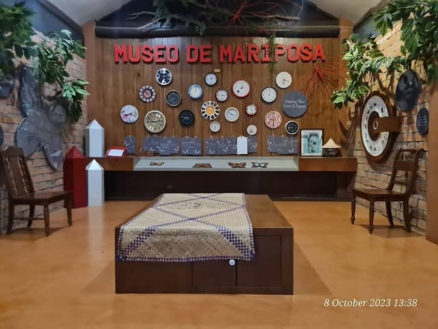 Museo de Mariposa - Image 2