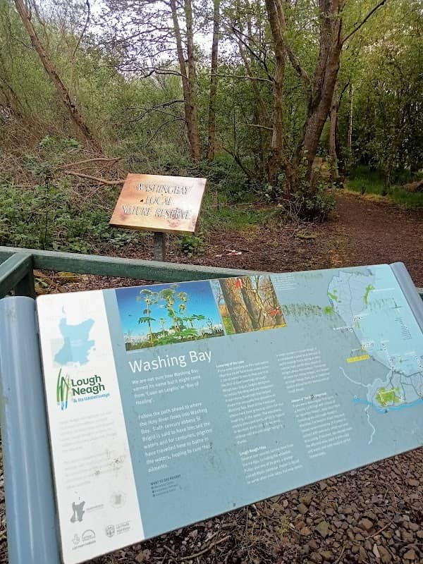 Washingbay Lough Walk - Image 1