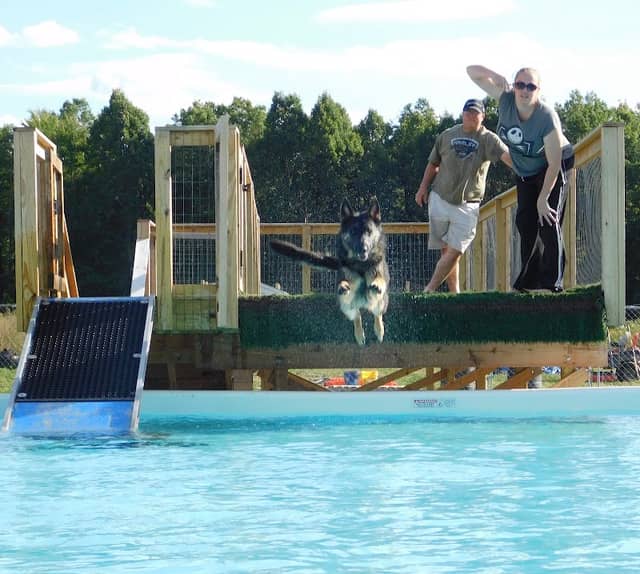 Duke's K9 Dash N' Splash - Image 1