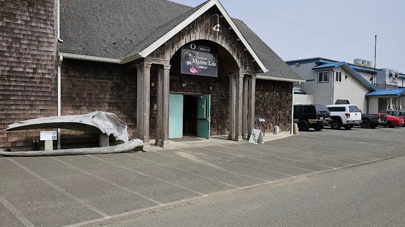 Charleston Marine Life Center - Image 2