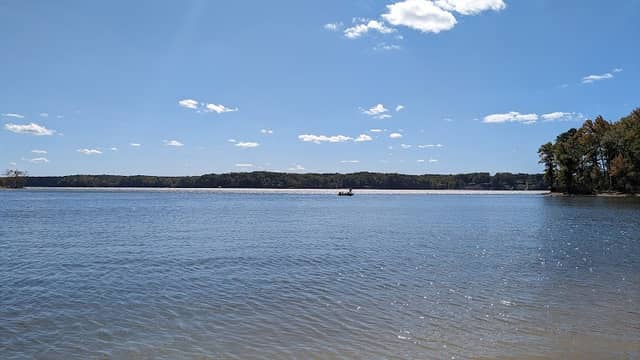 Bluestone Wildlife Management Area - Image 1