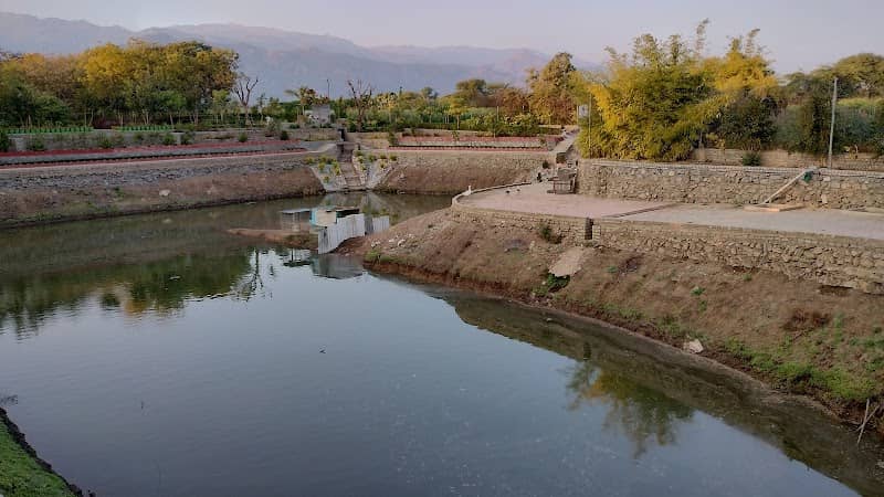 Hans Sarovar - Image 1