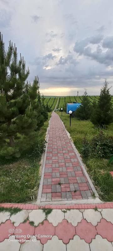 Malen'kiy Park - Image 1