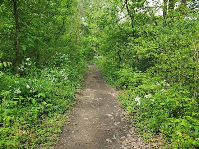 Caperton Swamp Park - Image 1