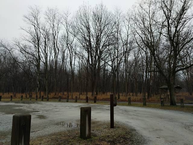 Caperton Swamp Park - Image 2