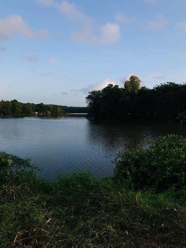 Ezhikkad field view - Image 1