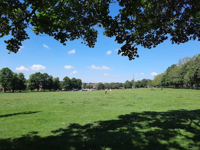 The Common - Image 1