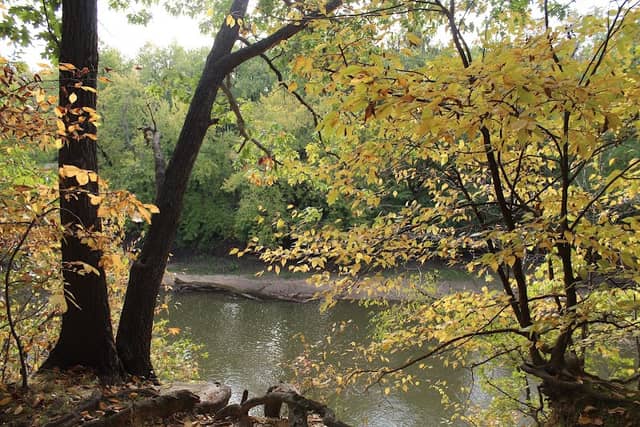 Carpenter Park - Image 1