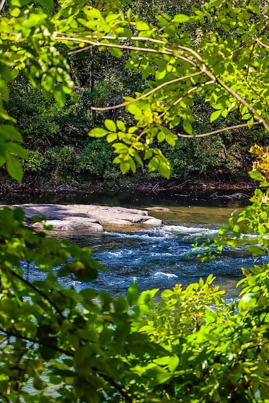 Ocmulgee River Trail - Image 1
