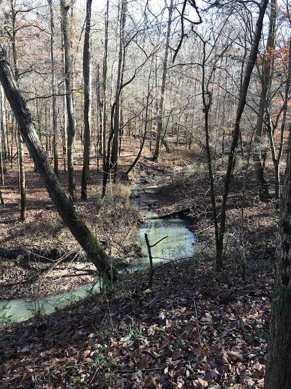 Ocmulgee River Trail - Image 3
