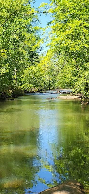 Ocmulgee River Trail - Image 2