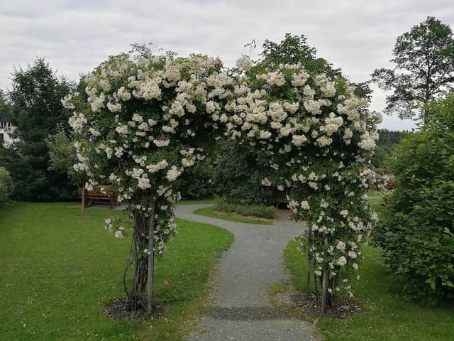 Rennsteig Park - Image 3