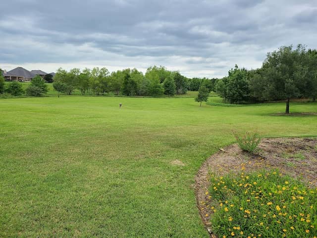 Cross Creek Ranch Butterfly Garden - Image 1
