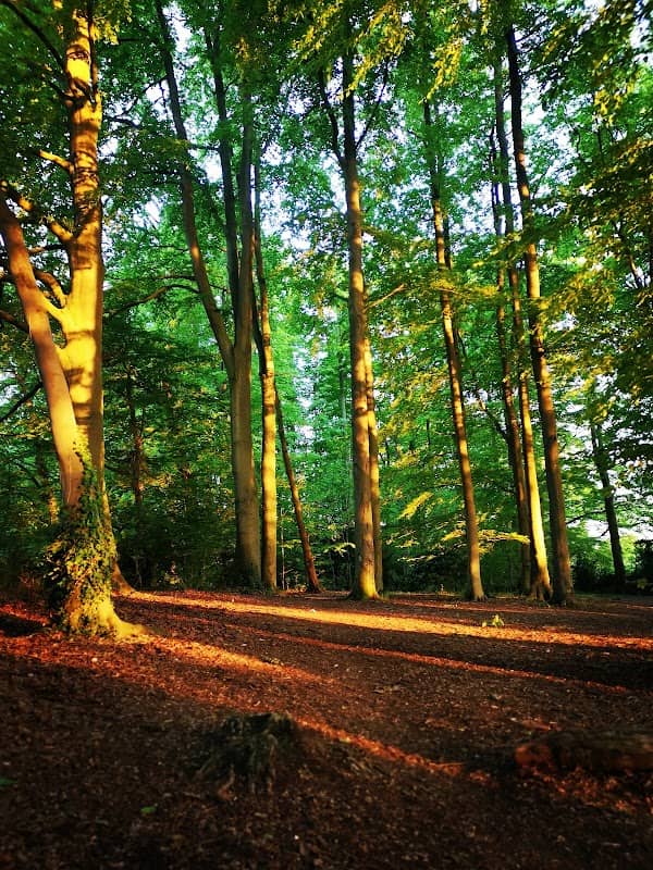The Warren Byway - Image 2
