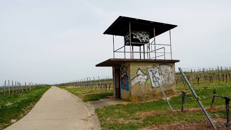 Weinbergshäuschen - Image 2