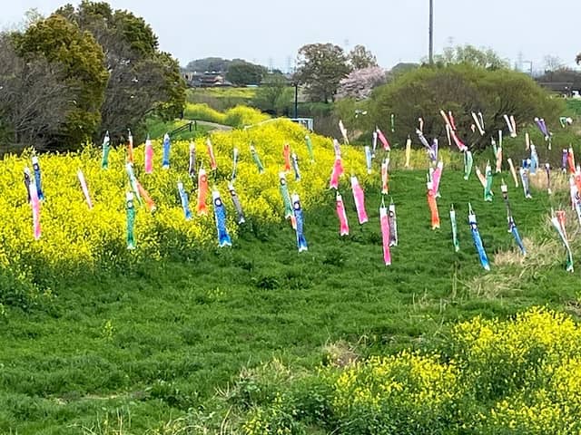 不動橋のこいのぼり - Image 1