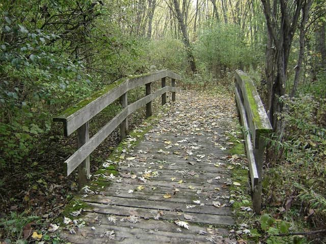 Two Creeks Forest Conservation Area - Image 1