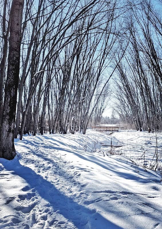 Two Creeks Forest Conservation Area - Image 2