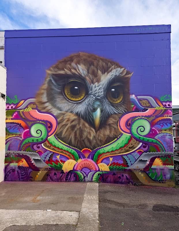 SWIFTMANTIS & Sean Duffell Mural - Berryman's Morepork - Image 2