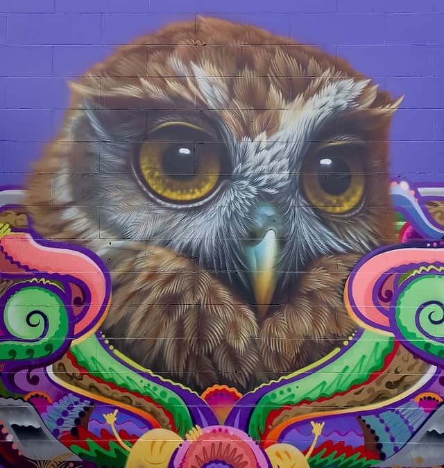 SWIFTMANTIS & Sean Duffell Mural - Berryman's Morepork - Image 1