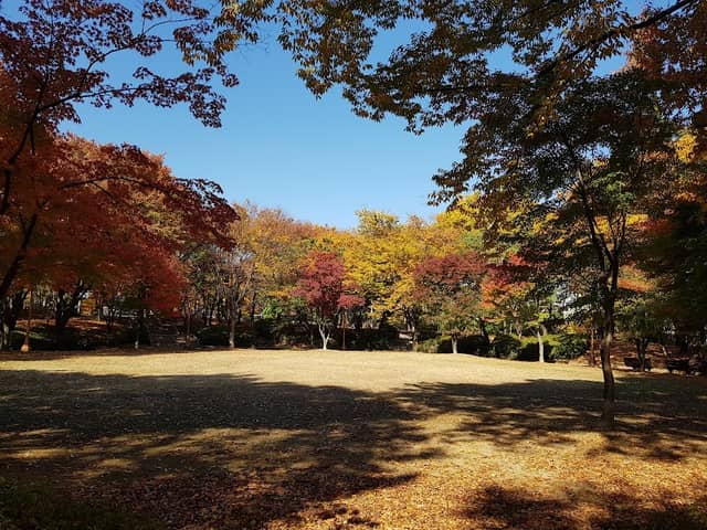 오리공원 - Image 1
