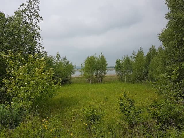Heerter See und Waldgebiet Heerter Strauchholz - Image 1
