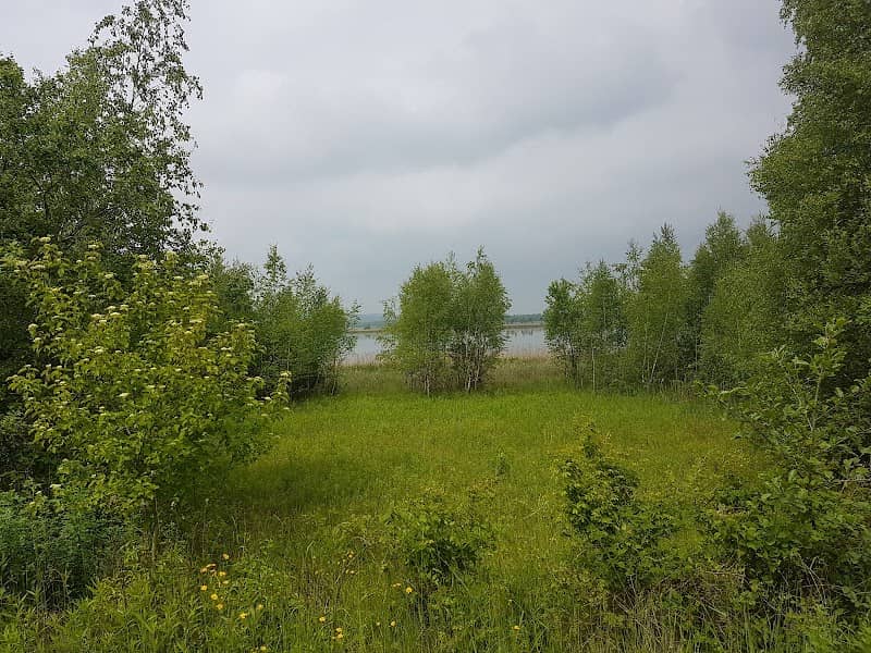 Heerter See und Waldgebiet Heerter Strauchholz - Image 1