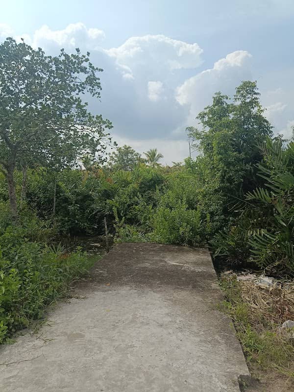tungkal ilir - Image 1