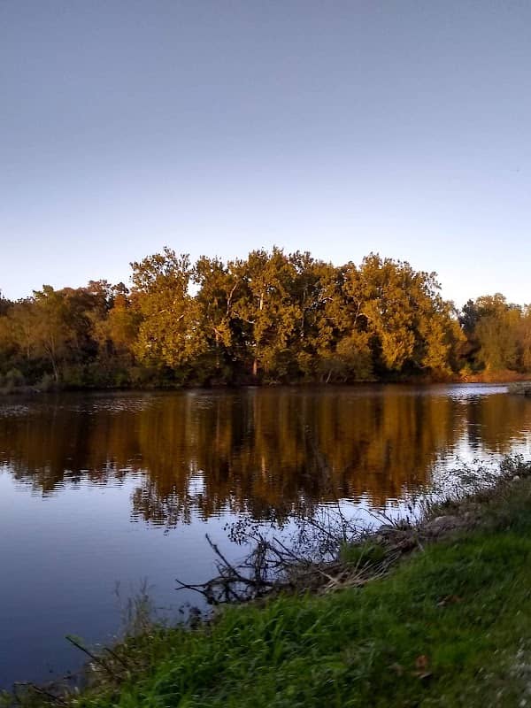 Arbor Lake Park - Image 1