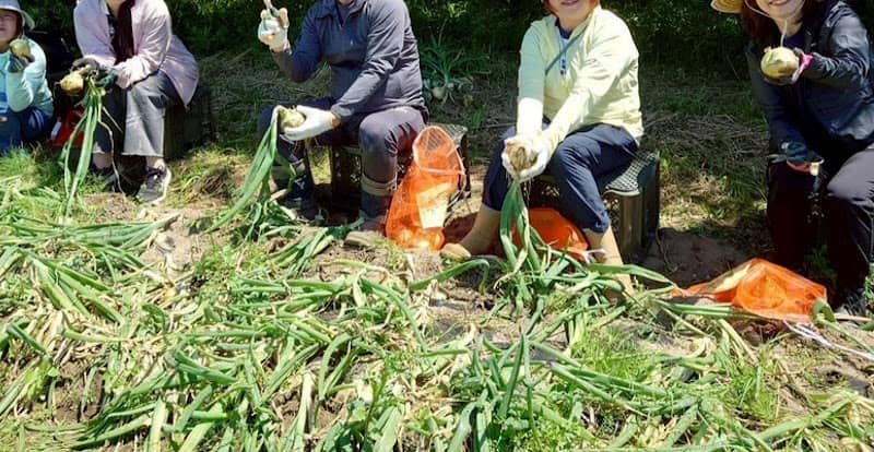 白子玉ねぎ - Image 1