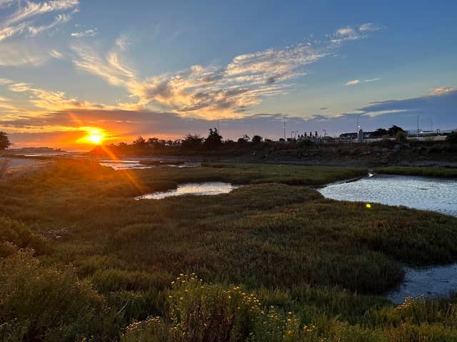 San Francisco Bay Trail - Image 2