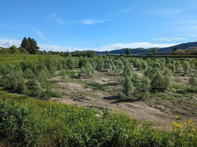 Rotte Del Guà - Image 1