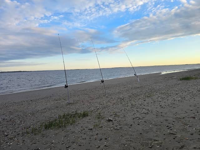 Elsinboro Point - Image 1