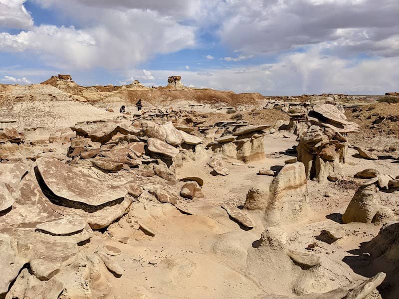 Bisti/De-Na-Zin Wilderness - Image 3