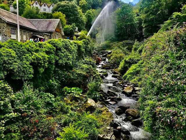 Glen Lyn Gorge - Image 1