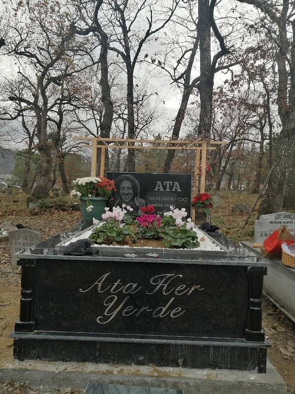 ATA'NIN BAHÇESİ - Image 1
