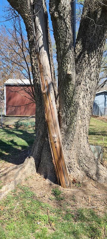 West Collier Park - Image 2