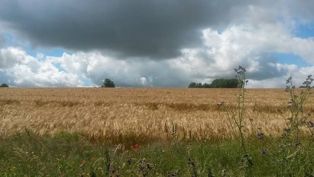 Hookerswell Farm - Image 1