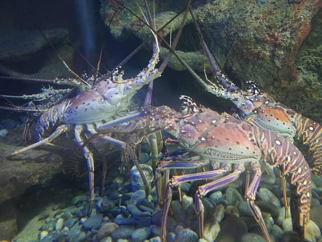Acuario Rodadero Santa Marta - Image 2