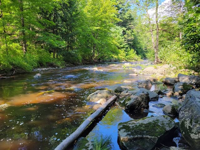 Bond Brook Recreation Area - Image 2