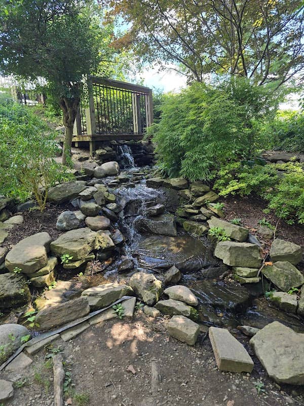 Forest Park - Image 2