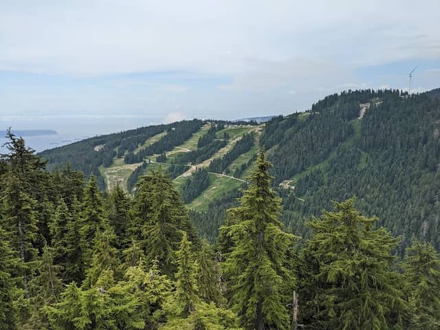 North Shore Explorer - Image 1