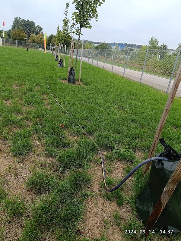 Fűnyírás, kert, zöldterület rendezés - Image 1