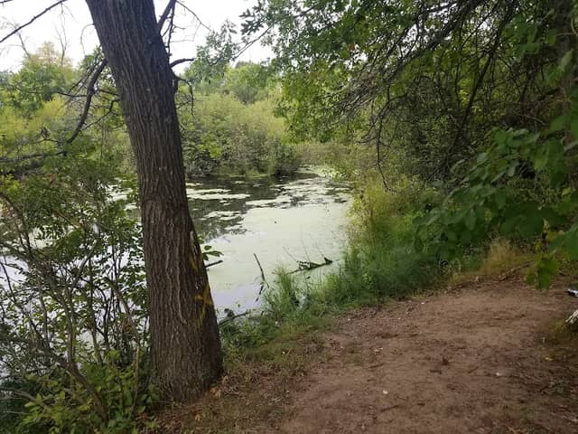 Anderson Park - Image 2