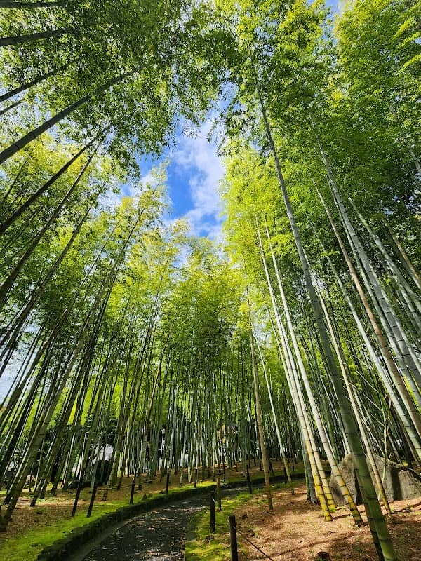 Beppu Park - Image 2