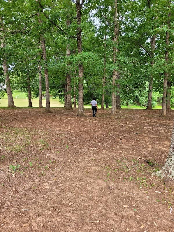 Younger Park - Image 1