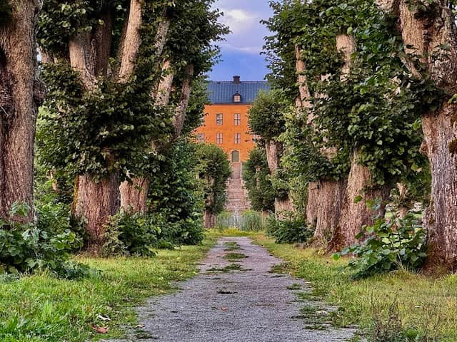 Fontänen och Allén - Image 1